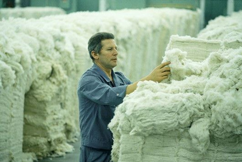 Cotton sampling for HVI testing