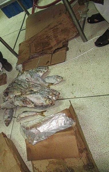 Inspection of frozen cargo