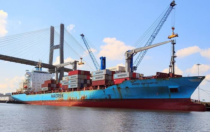Container inspection