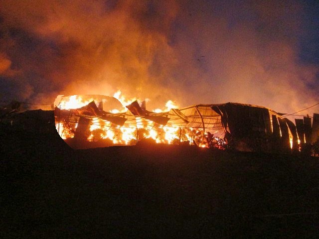 Fire damage survey