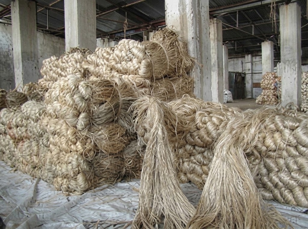 Raw jute inspection