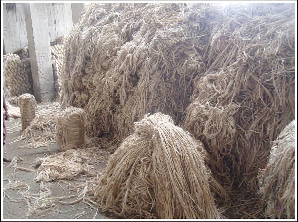 Raw jute inspection