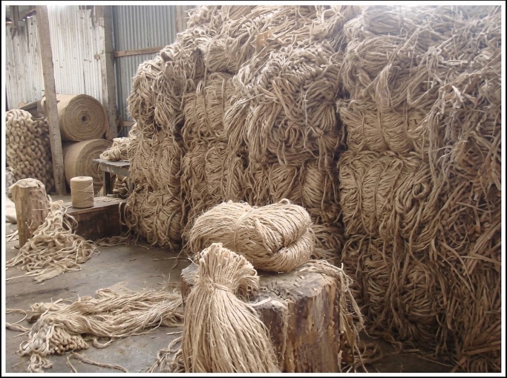 Raw jute inspection