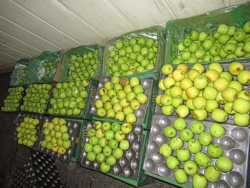 Fruits and perishables survey