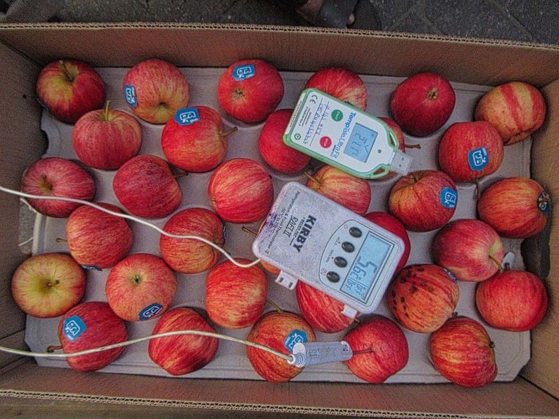 Fruits and perishables survey