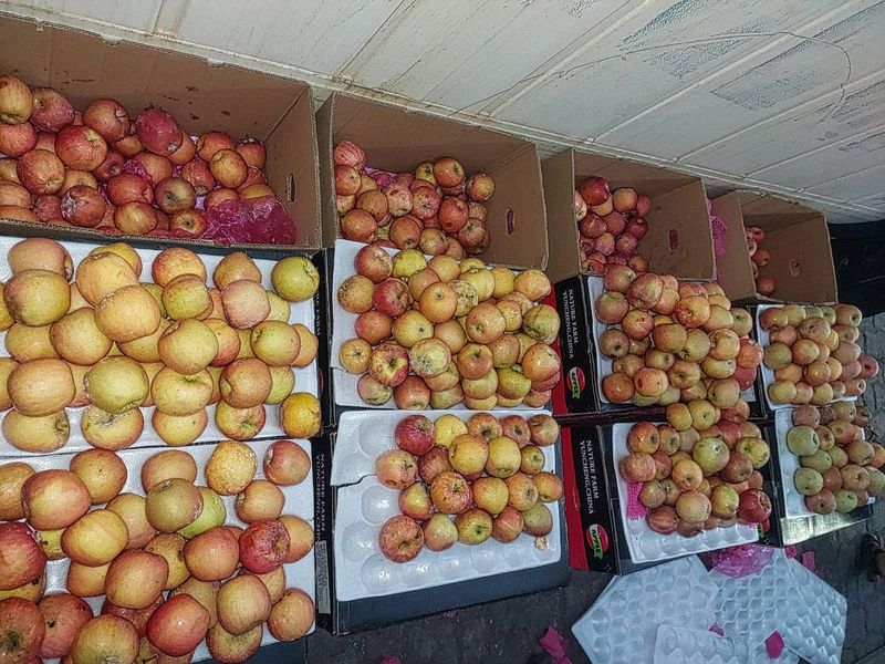 Fruits and perishables survey