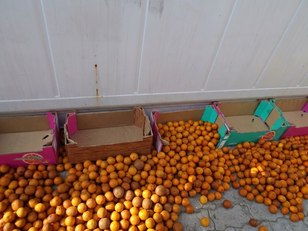 Fruits and perishables survey