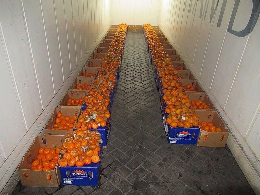 Fruits and perishables survey