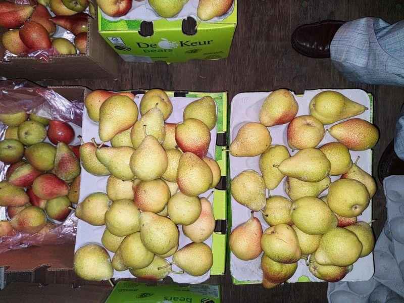 Fruits and perishables survey