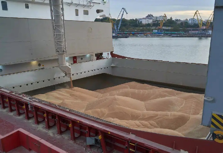 Marine and cargo survey